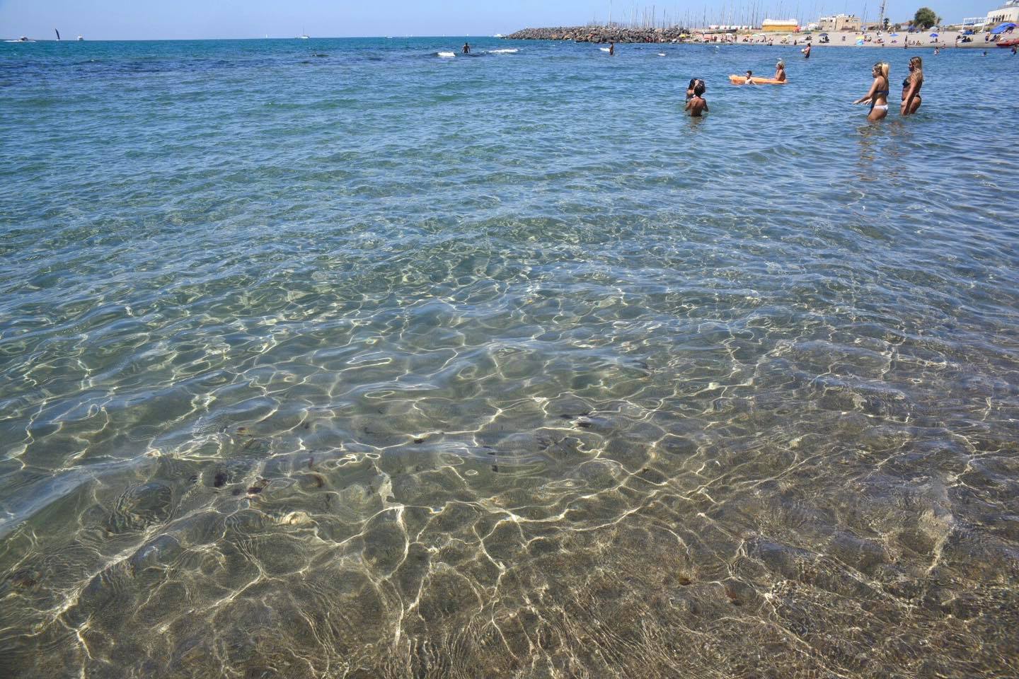 Il mare di Ostia  in salute